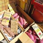 用户对于芋伝説的评论图