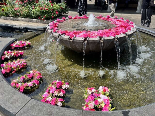 用户对于崎陽軒 エキュート立川店的评论高清图