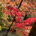 User's review image for みかえり茶屋