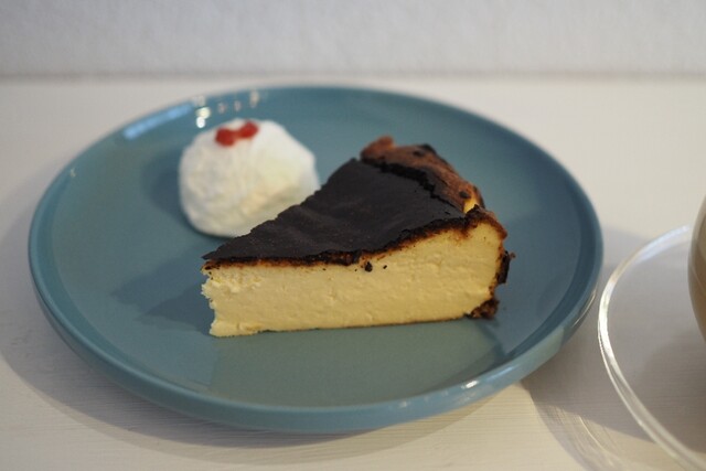 User's recommendation image for papillon