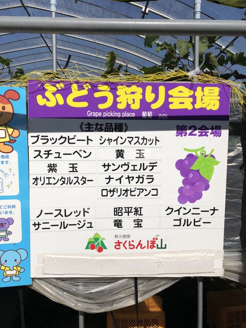 用戶對於さくらんぼ山観光農園的評論高清圖