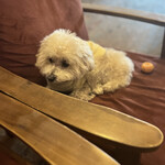 User's review image for アールジェイカフェ