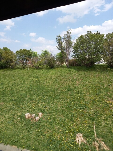 用户对于かわなか的评论高清图