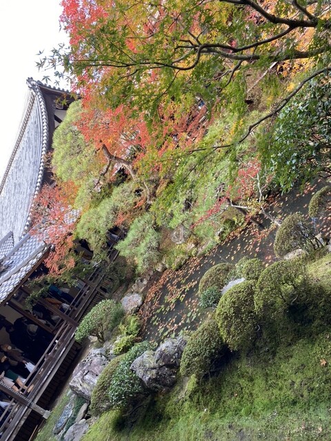 User's recommendation image for みかえり茶屋