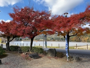 用户对于池の茶屋的评论图