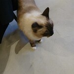 用戶對於泰風佳日的評論圖