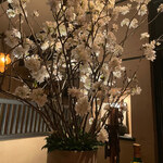 User's review image for バー・サルバドール