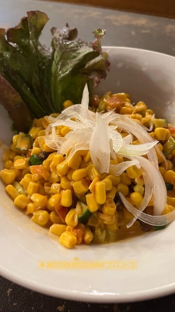 User's recommendation image for ブロンコ