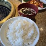 User's review image for 富士ロック