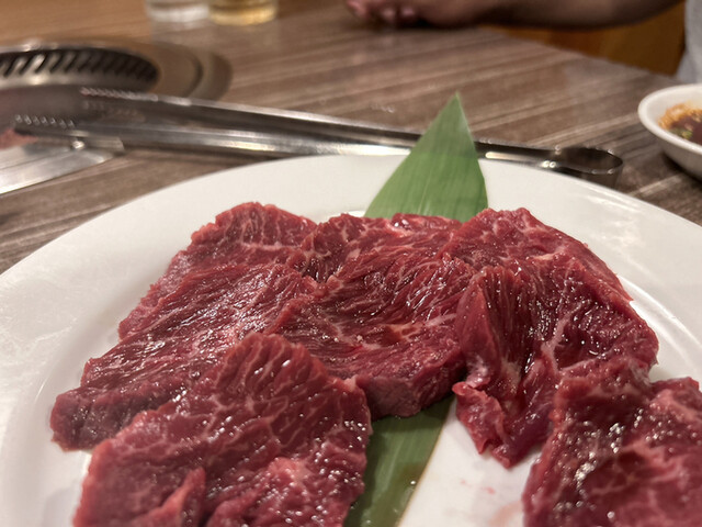 用户对于焼肉・しゃぶしゃぶ 肉の鶴々亭的评论高清图