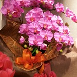 User's review image for えいちゃん