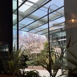 User's review image for モスバーガー 大崎店