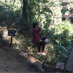 用戶對於城山オレンヂ園的評論圖