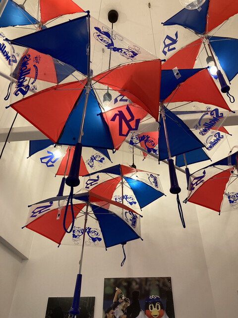 用户对于東京ヤクルトスワローズ Official Goods Shop つば九郎店的评论高清图