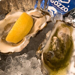 用戶對於GOZZO的評論圖