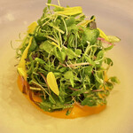 User's review image for ボニュ