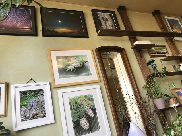 用户对于たんぽぽ喫茶店的评论高清图