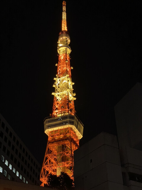 User's recommendation image for ラ・カーサ・デル・ハバノ・バイ・シガークラブ 飯倉本店