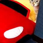 用户对于Cafe&Diningbar With Cat's Lamp的评论图
