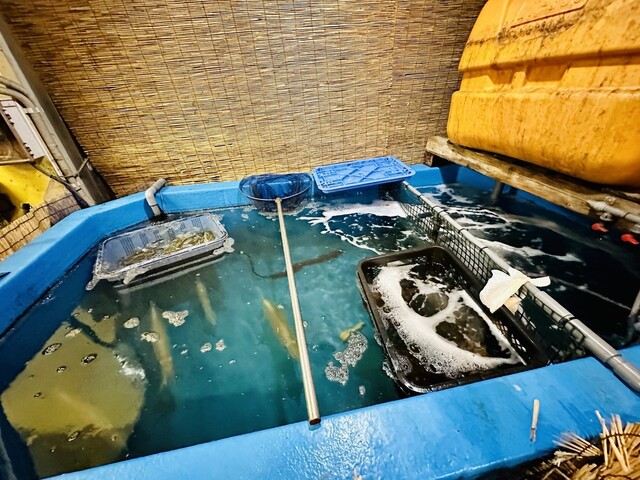 用戶對於博多料理太衛門的評論高清圖