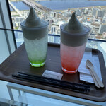 用戶對於SKY 40的評論圖