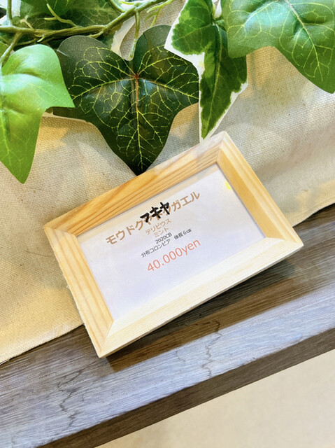 用户对于DEN CAFE的评论高清图