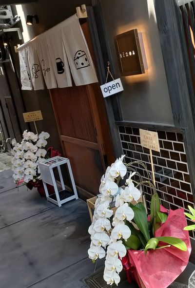 User's review image for sinoa