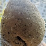 User's review image for スギノキ