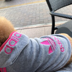 用戶對於スターバックス・コーヒー 四谷3丁目店的評論圖