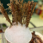 用户对于香港火鍋専門店 鴻運 高田馬場的评论图