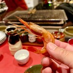 用户对于殻の三光橋的评论图