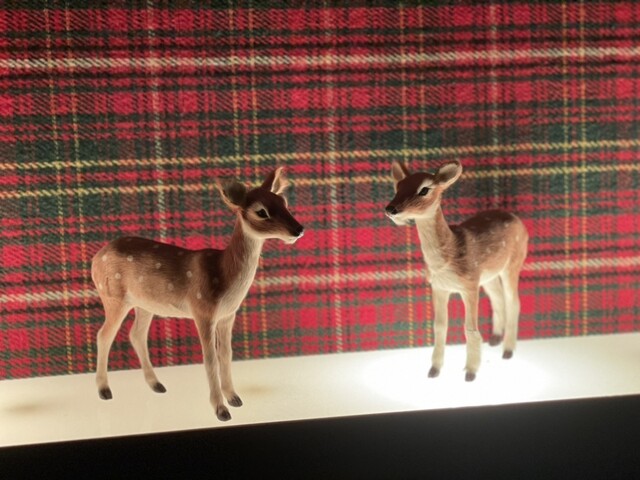 用戶對於Bar Bambi的評論高清圖