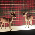 用戶對於Bar Bambi的評論圖