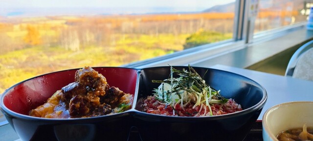 用戶對於とかち亭的評論高清圖