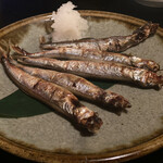 用户对于力丸的评论图