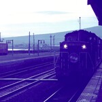 用戶對於まるい弁当 本店的評論圖