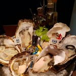用戶對於Oyster Bar ジャックポット 下北沢的評論圖