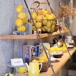 用户对于CITRON的评论图