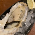 用户对于牡蠣と魚介のワイン酒場 FISHMANS SAPPORO的评论图