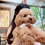 User's review image for りくろーおじさんの店 住之江公園店