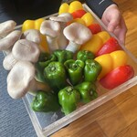 User's review image for MOON 901