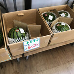 用户对于江別河川防災ステーション農産物直売所的评论图