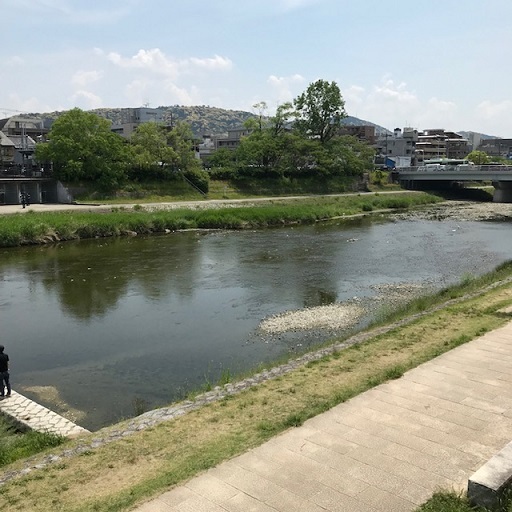 用戶對於露瑚的評論圖