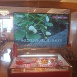用户对于スイーツパラダイス 天王寺ミオ店的评论图