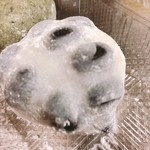 用户对于水車的评论图