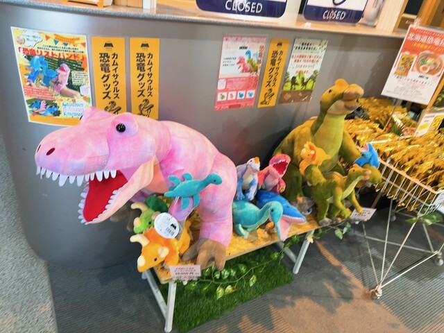 用戶對於道の駅 むかわ四季の館的評論高清圖