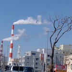 用戶對於しゃぶ葉  苫小牧店的評論圖