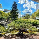 用户对于札幌市役所本庁舎食堂的评论图