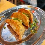 User's review image for 餃子のかっちゃん 千日前店