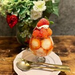 User's review image for sole de conon